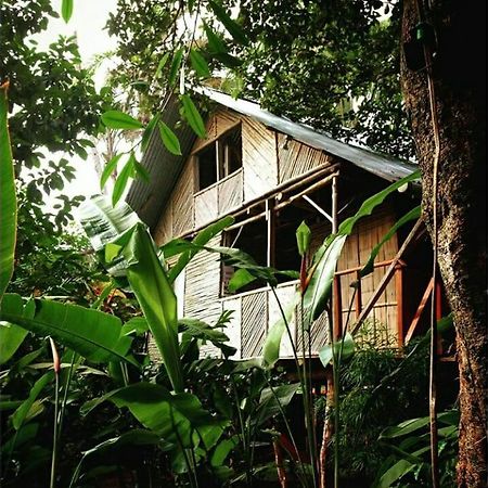 Bambu Hostel David Exterior foto